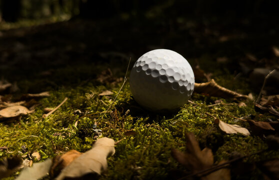 a golf ball rests serenely on mossy forest floor, capturing a peaceful natural moment from a ground-level perspective with vibrant green and earthy brown tones.
