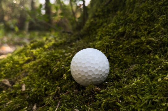 serene golf ball resting on moss in forest floor at ground level with white and green tones and organic materials, nature photography and sports imagery context.