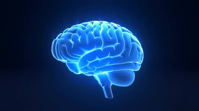 Human Brain Shown in Bright Red Light Against a Dark Abstract Background
