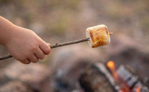 Child toasting a marshmallow on a stick over a campfire outdoors representing camping and family fun
