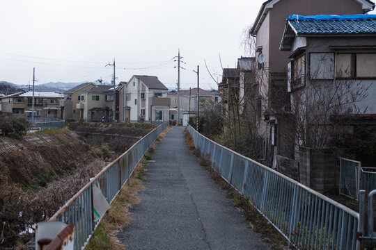 日本の地方都市の川沿いの道