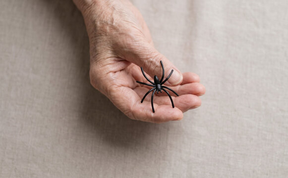 Elderly woman holding a fake black spider in her hand, conceptual image of fear, aging and phobia