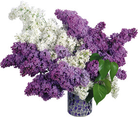 Obraz premium Close-up of a blooming lilac flower cluster with deep purple blossoms