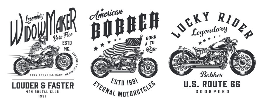 vector illustration
