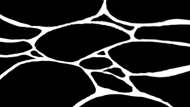 cartoon animation visual effects element abstract liquid or sea water shadow