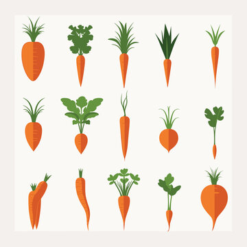 Carrot isolated