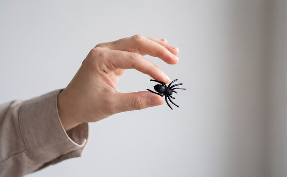 Woman holding a small plastic toy spider in fingers close up minimalist concept