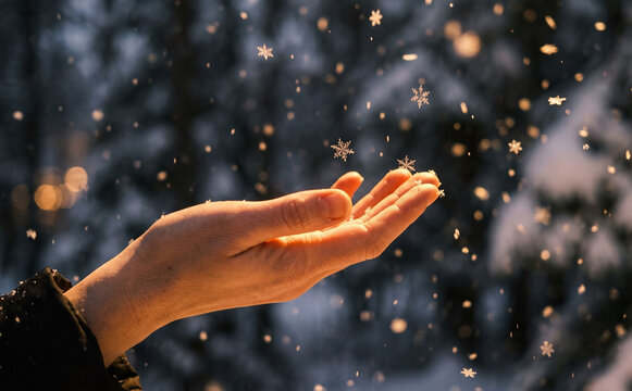 Hand Catching Snowflakes in Winter Forest, Magical Holiday Season Concept