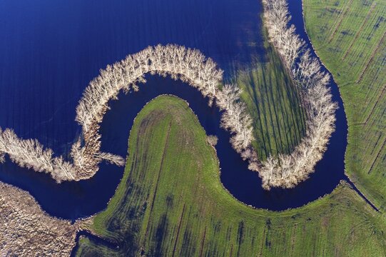 River course of the Schwinge at high water, river, course, aerial view, aerial photograph, top view, bird's eye view, nature, landscape, loop, meander, water, forest, poplar, shadow, fields, trees, flood tree, agriculture, winter, Stade, Lower Saxony, Germany