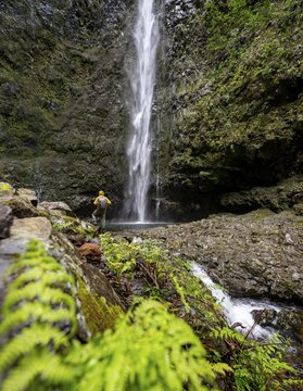 Hikers in front of a waterfall on a steep rock face, Levada do Caldeir&atilde;o Verde, Parque Florestal das Queimadas, Madeira, Portugal