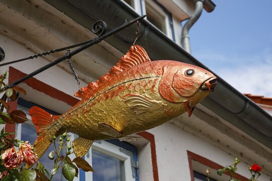 Fish sculpture on an old fisherman's house, Historic fishing village Holm, Schleswig, Schleswig-Holstein, Germany
