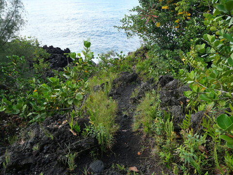 Rocky Trail Through Tropical Vegetation to Kehena Black Sand Beach, Hawaii