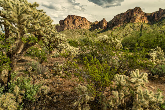A cloudy desert sky