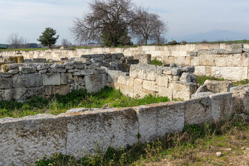 Fototapeta premium Ruins of Ancient Macedonian capital Pella, Greece