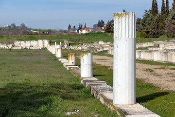 Fototapeta premium Ruins of Ancient Macedonian capital Pella, Greece