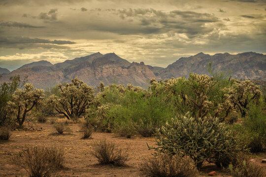 A cloudy desert sky