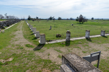 Fototapeta premium Ruins of Ancient Macedonian capital Pella, Greece