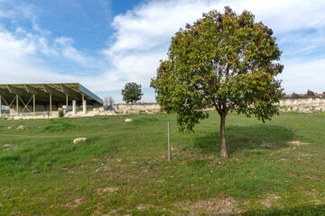 Fototapeta premium Ruins of Ancient Macedonian capital Pella, Greece