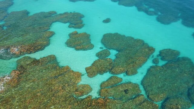 Aerial view of shallow coral formations in clear tropical Caribbean sea in Costa Rica