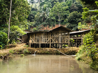 Wooden Chicken Coop on Stilts Beside a Fish Pond in Dense Forest  © sasoriprastyo