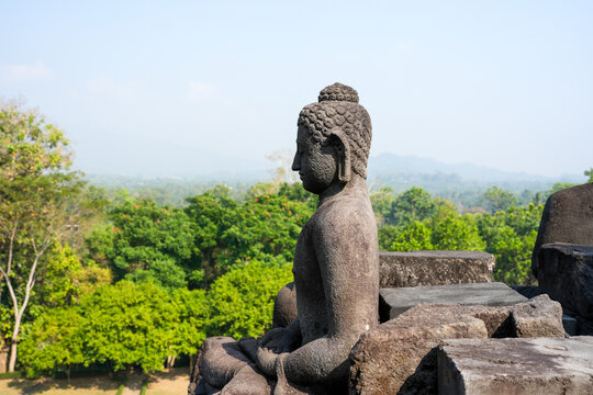 Borobudur buddha statue overlooking indonesian jungle landscape