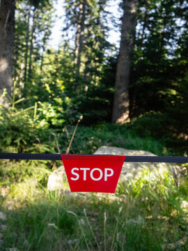 A stop sign on a rope in the forest. A stop sign prohibiting tourists from entering the forest.