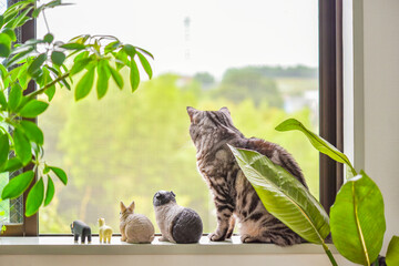 Naklejka premium 窓辺で動物のミニチュア達と並んでくつろぐ猫