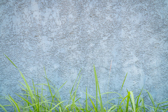 Weathered blue-gray wall with a mottled textured surface and fresh green grass along the bottom, creating a calm natural background.
