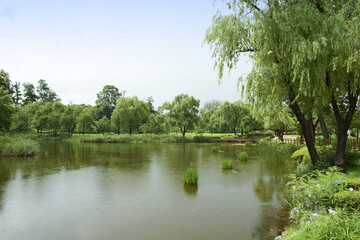Fototapeta premium 용산가족공원,용산구,서울