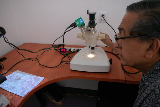Senior Scientist Adjusting Illuminated Stereo Microscope with Digital Camera Attachment