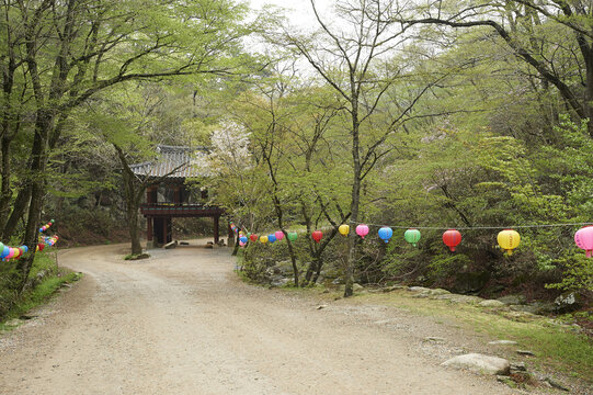 연등,선암사,조계산,순천시,전남