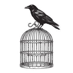 Naklejka premium raven birdcage perch engraving