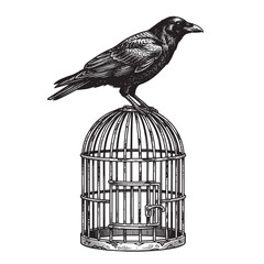 Naklejka premium crow perching birdcage engraving