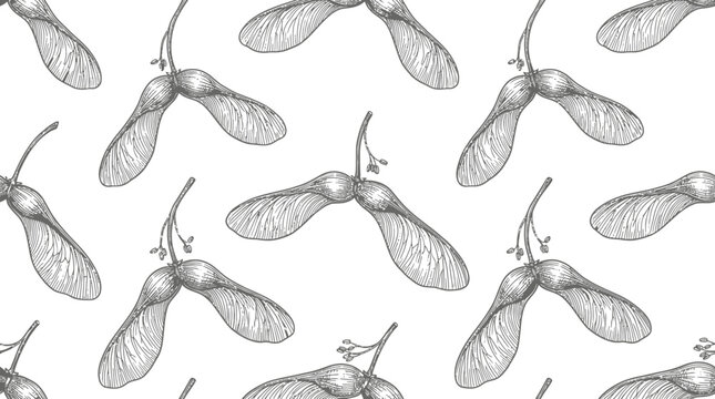 Maple Seed Pattern Isolated