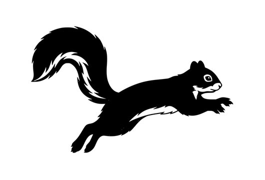 Energetic chipmunk running with distinctive back stripes fluffy tail and tiny paws isolated on white background dynamic vector illustration