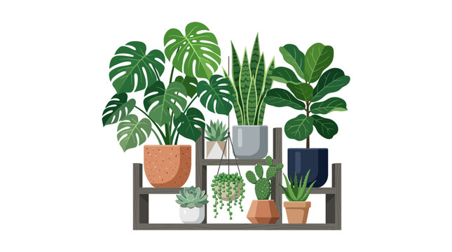 Collection of Potted Houseplants on Shelf