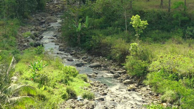 Rocky river flowing through a lush green forest