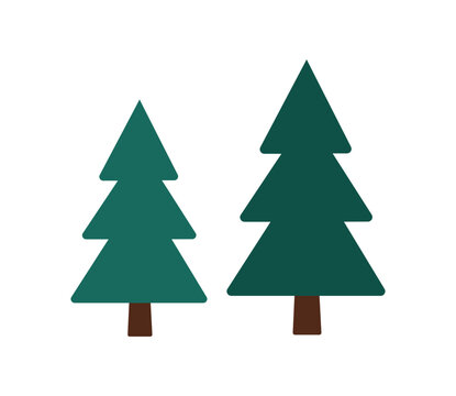 Two pine trees illustration for winter, forest, nature and holiday decoration design
