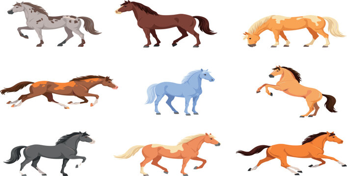 Beautiful horse vector collection featuring different breeds colors and dynamic poses running trotting rearing and grazing isolated