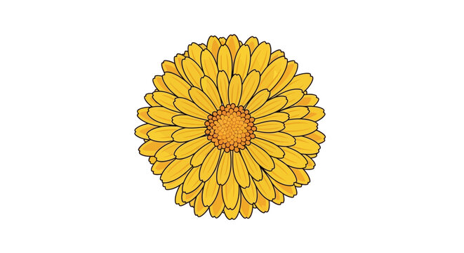 Vibrant yellow calendula flower vector illustration, showcasing cheerful petals and a bright center. Clean botanical graphic for nature-themed designs and spring projects