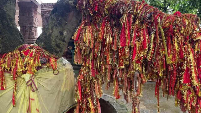 Devotees&rsquo; Sacred Threads  Tied to Wish Tree T Sikharchandi Hill Temple , Bhubaneswar