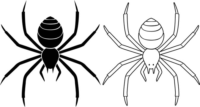 Spider silhouette and outline vector illustration