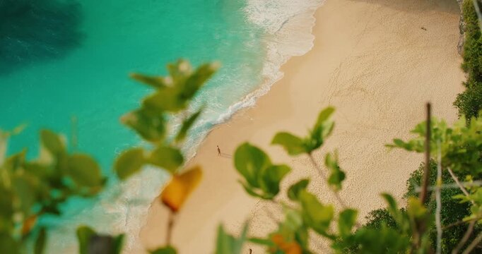 Top down view of sandy shoreline and ocean waves with lush greenery in foreground