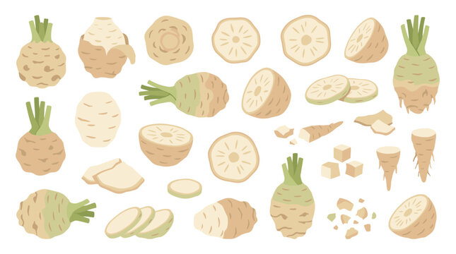 Set of celeriac root vegetables featuring whole plants, sliced pieces, and diced cubes, fresh organic produce icons, healthy nutrition ingredients