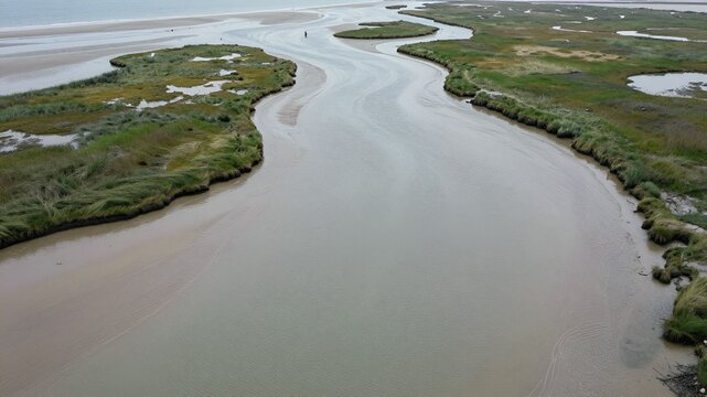 Winding tidal channels crossing a green coastal salt marsh at low tide