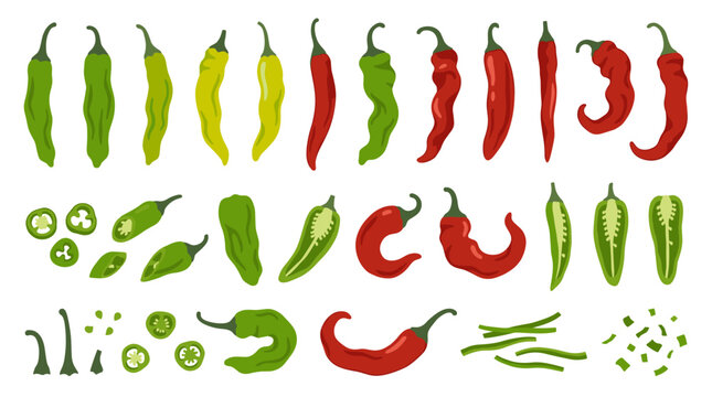 Set of various fresh hot chili peppers in red, green and yellow, sliced pieces, cooking ingredient, food seasoning, spicy flavor, vegetable garnish