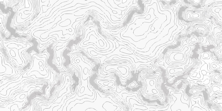 Intricate contour lines depict a topographic map in grayscale