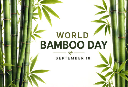Celebrate world bamboo day with green bamboo stalks and leaves design template