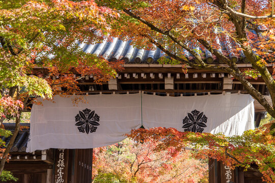 White Noren with Kamon Crest at Nanzenji Gate in Autumn, Kyoto