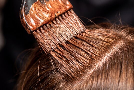 Hairstylist Applying Metallic Copper Dye to Client Hair in Professional Beauty Salon